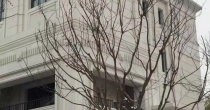经典工程
